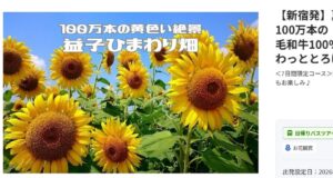 総合旅行サイトＨＩＳ（エッチ・アイ・エス）の国内旅行のバスツアーには、益子ひまわり園を訪れる企画があります。