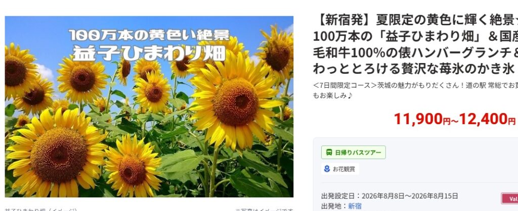 総合旅行サイトＨＩＳ（エッチ・アイ・エス）には国内旅行のバスツアーがあります。「お花鑑賞ツアー」では「益子ひまわり園」を募集しています。