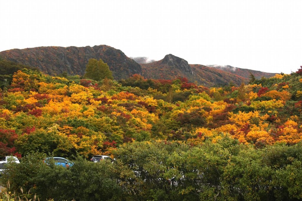 栗駒山の紅葉は山頂から次第に下に降りてきます。10月になると、駐車場の近くでもきれいな紅葉が楽しめます