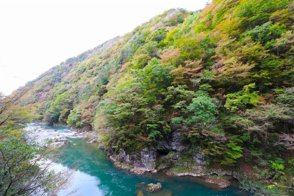 
秋田県仙北市を代表する紅葉名所のひとつが、抱返り渓谷（だきがえりけいこく）です。紅葉の見頃は10月下旬から11月上旬ごろ。
