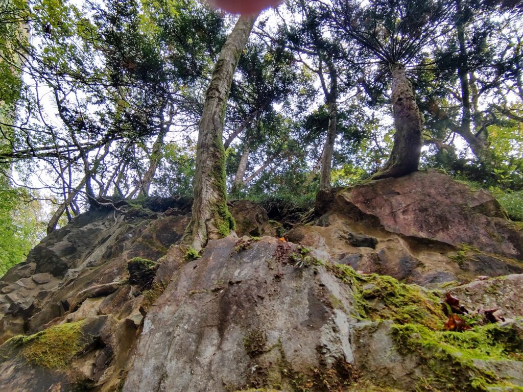 田沢湖と角館の間を流れる玉川中流に広がる抱返り渓谷 は,切り立った岩壁と原生林も絶景です。